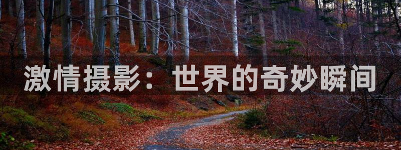 天堂神马电影