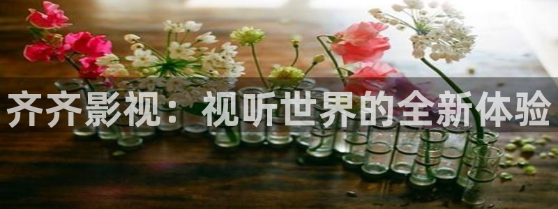 神马免费伦理影院：齐齐影视：视听世界的全新体验